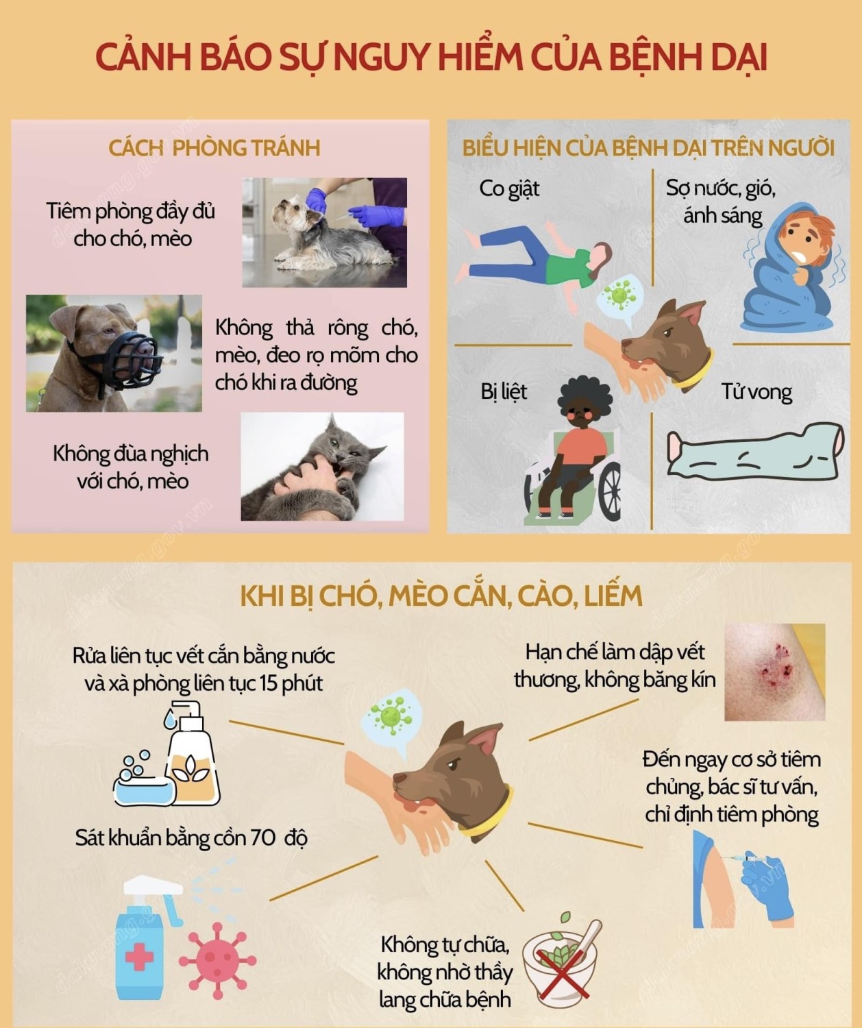 Tuyên truyền phòng, chống bệnh dại trên địa bàn phường