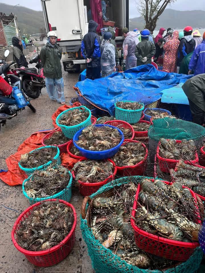 584725848_122136700280963099_659128369827391529_n