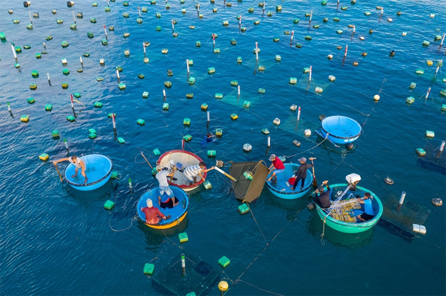 Tổ chức tuyên truyền, đấu tranh, ngăn chặn các hành vi vi phạm pháp luật liên quan đến bảo vệ các loài động vật hoang dã và bảo vệ nguồn lợi thủy sản  trên địa bàn phường Sông Cầu