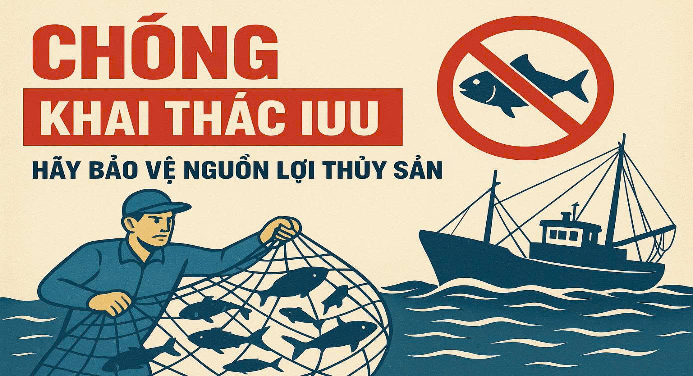 Kiểm soát chặt chẽ tàu cá không đủ điều kiện hoạt động theo quy định trên địa bàn phường