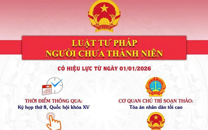 Luật tư pháp người chưa thành niên - quy định pháp luật mới góp phần phát triển hệ thống tư pháp thân thiện và bảo vệ trẻ em