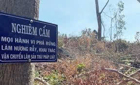Kiểm tra ngăn chặn, xử lý tình trạng chặt phá rừng, khai thác, mua bán, tàng trữ, vận chuyển lâm sản, động vật rừng và lấn chiếm đất lâm nghiệp trái pháp luật; bảo vệ rừng và Phòng cháy chữa cháy rừng